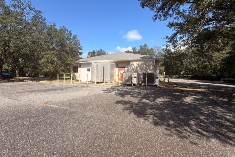 Immobilier commercial à vendre à Astor, Floride: 421.96 m2 № 2388920 - photo 13