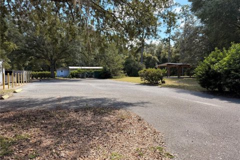 Immobilier commercial à vendre à Astor, Floride: 421.96 m2 № 2388920 - photo 16