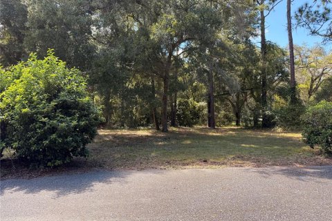Immobilier commercial à vendre à Astor, Floride: 421.96 m2 № 2388920 - photo 14