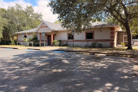 Immobilier commercial à vendre à Astor, Floride: 421.96 m2 № 2388920 - photo 2