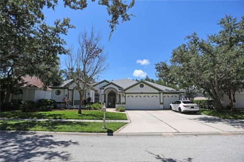 House in Tampa, Florida 5 bedrooms, 296.45 sq.m. № 1883937 - photo 1