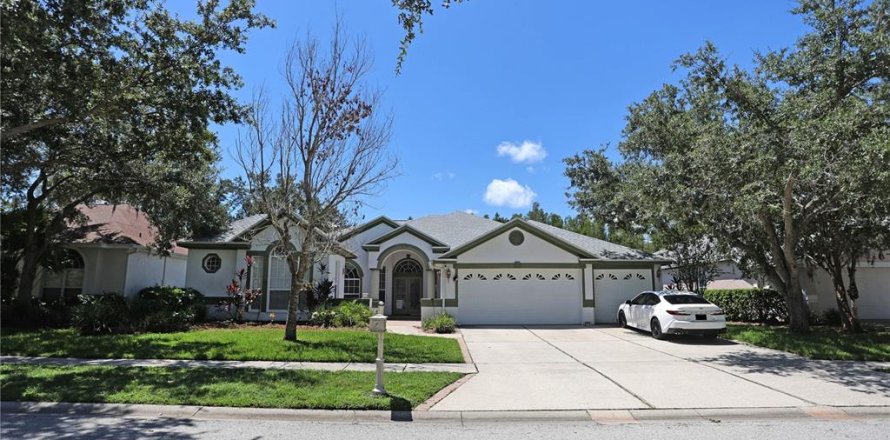 House in Tampa, Florida 5 bedrooms, 296.45 sq.m. № 1883937