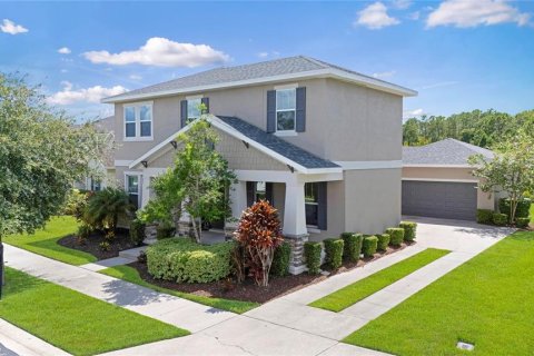 House in Wesley Chapel, Florida 4 bedrooms, 276.29 sq.m. № 1894059 - photo 1