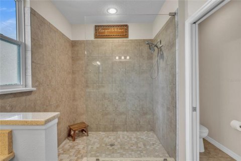House in Wesley Chapel, Florida 4 bedrooms, 276.29 sq.m. № 1894059 - photo 29