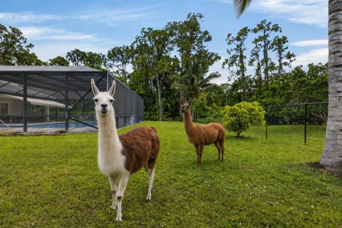 Casa en venta en Parkland, Florida, 5 dormitorios, 459.68 m2 № 2088255 - foto 18