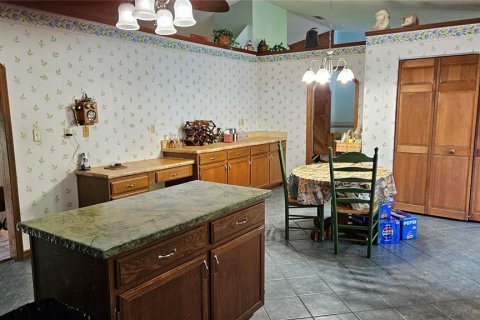 Casa en venta en Lecanto, Florida, 4 dormitorios, 322.74 m2 № 1350891 - foto 9