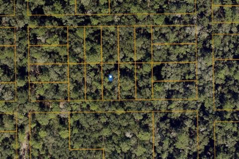 Land in Orange City, Florida № 2163883