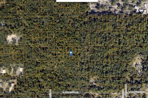 Land in Orange City, Florida № 2163883 - photo 2