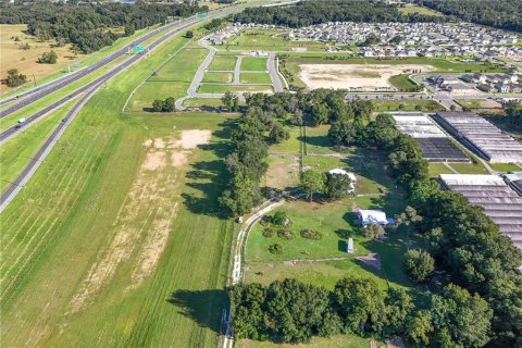 Propiedad comercial en venta en Apopka, Florida № 1417641 - foto 2