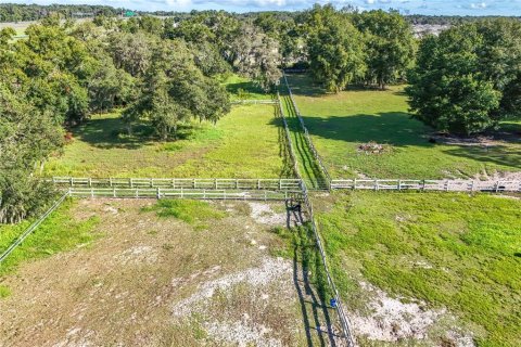 Propiedad comercial en venta en Apopka, Florida № 1417641 - foto 8