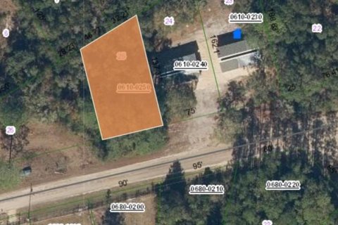 Land in Interlachen, Florida № 2161870