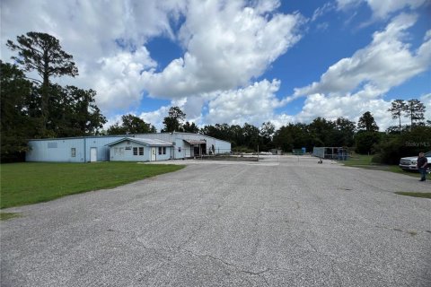 Commercial property in Lake City, Florida 1393.53 sq.m. № 1908413 - photo 12