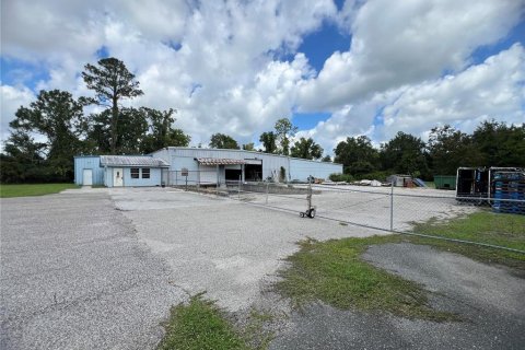 Commercial property in Lake City, Florida 1393.53 sq.m. № 1908413 - photo 13