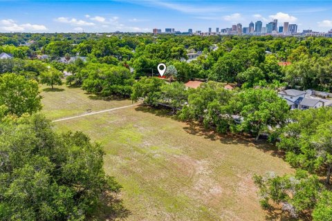 Villa ou maison à vendre à Tampa, Floride: 5 chambres, 382.76 m2 № 2210779 - photo 8