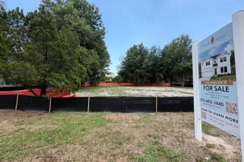 Villa ou maison à vendre à Tampa, Floride: 5 chambres, 382.76 m2 № 2210779 - photo 3