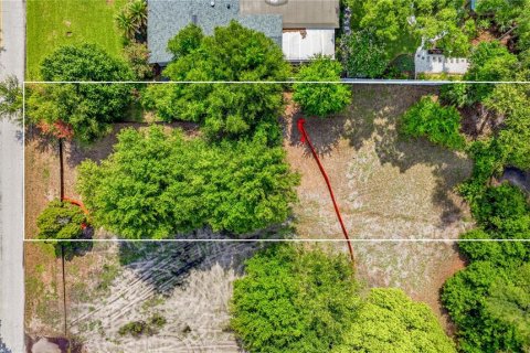 Villa ou maison à vendre à Tampa, Floride: 5 chambres, 382.76 m2 № 2210779 - photo 6