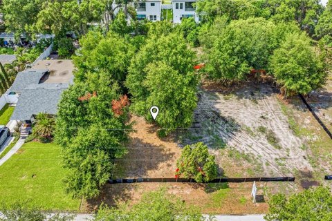 Villa ou maison à vendre à Tampa, Floride: 5 chambres, 382.76 m2 № 2210779 - photo 10