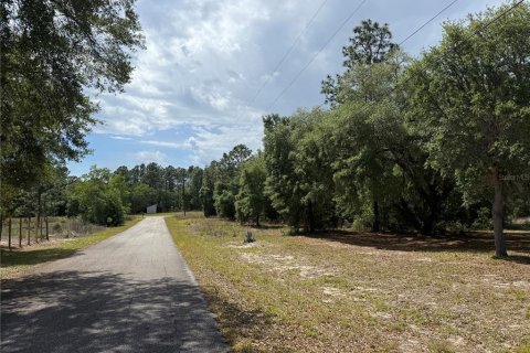 Land in Dunnellon, Florida № 2163382 - photo 4