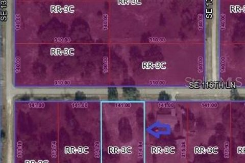 Land in Dunnellon, Florida № 2163382 - photo 3
