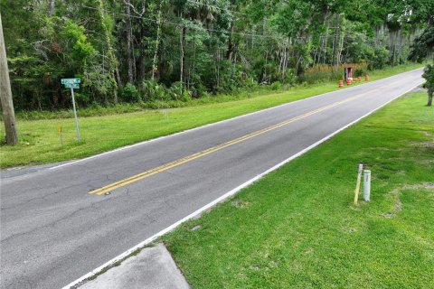 Terrain à vendre à Homosassa, Floride № 1767555 - photo 14