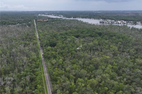 Terrain à vendre à Homosassa, Floride № 1767555 - photo 9