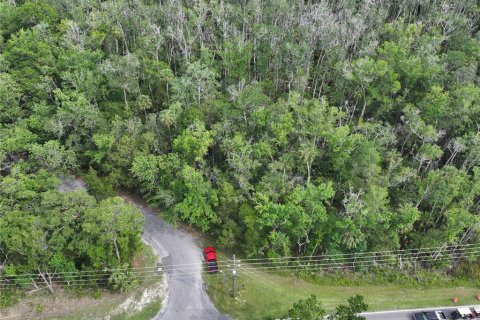 Terrain à vendre à Homosassa, Floride № 1767555 - photo 4
