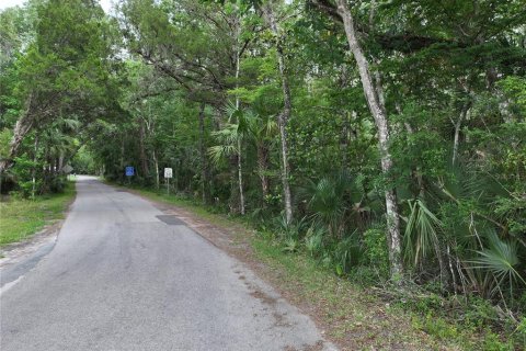 Terrain à vendre à Homosassa, Floride № 1767555 - photo 16