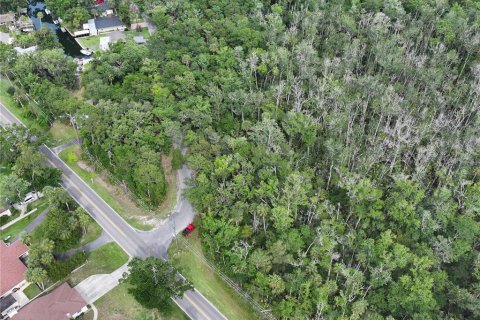 Terrain à vendre à Homosassa, Floride № 1767555 - photo 10