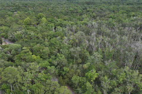 Terrain à vendre à Homosassa, Floride № 1767555 - photo 7