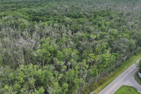 Terrain à vendre à Homosassa, Floride № 1767555 - photo 5