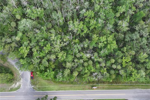 Terrain à vendre à Homosassa, Floride № 1767555 - photo 8