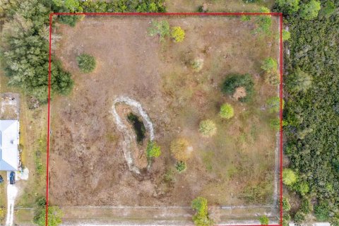 Terrain à vendre à Punta Gorda, Floride № 2144092 - photo 6