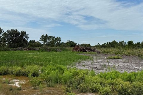 Land in Okeechobee, Florida № 2160628 - photo 3