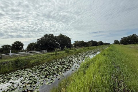 Land in Okeechobee, Florida № 2160628 - photo 5