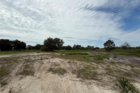 Land in Okeechobee, Florida № 2160628