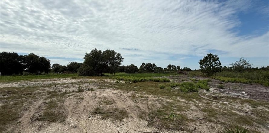 Land in Okeechobee, Florida № 2160628