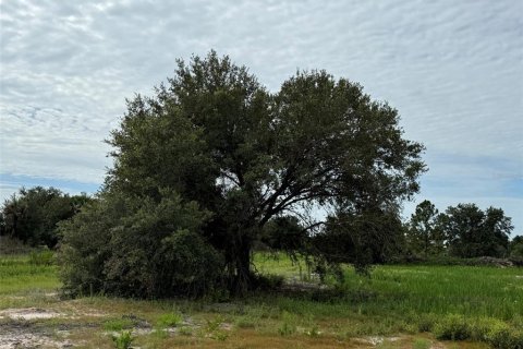 Land in Okeechobee, Florida № 2160628 - photo 2