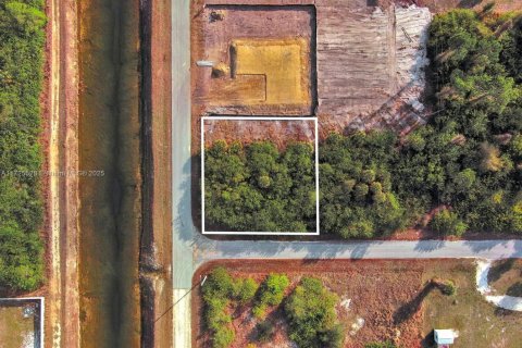 Land in Lehigh Acres, Florida № 2158135 - photo 2