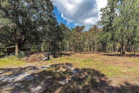Land in Dover, Florida № 1775077 - photo 2