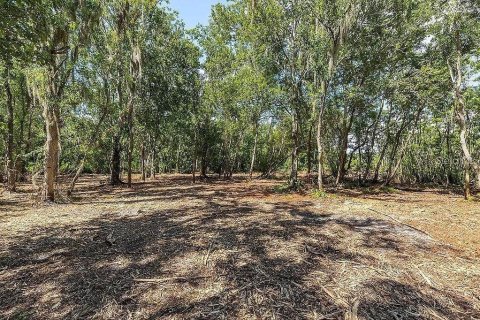 Land in Dover, Florida № 1775077 - photo 3