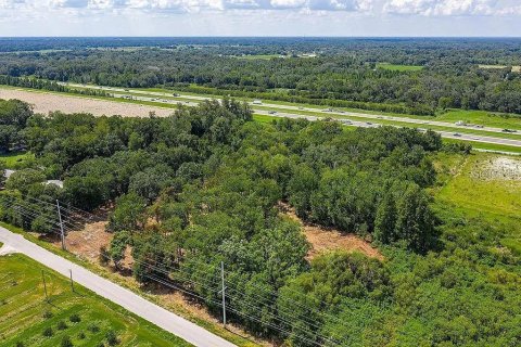 Land in Dover, Florida № 1775077 - photo 4