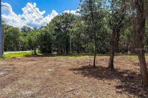 Land in Dover, Florida № 1775077 - photo 5