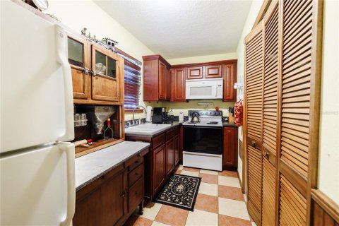 Hôtel, hôtellerie à vendre à Orange City, Floride: 567.35 m2 № 2206049 - photo 30