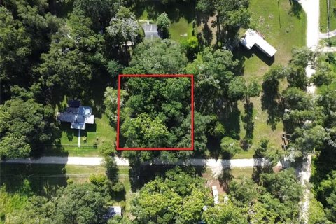 Land in Ocala, Florida № 2167740 - photo 2