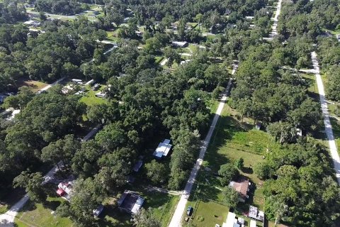 Land in Ocala, Florida № 2167740 - photo 3