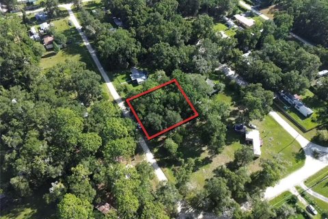 Land in Ocala, Florida № 2167740