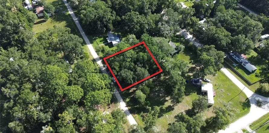 Land in Ocala, Florida № 2167740