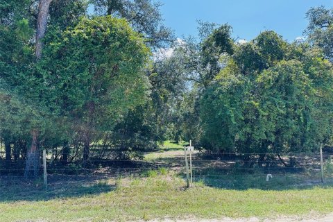 Terreno en venta en Chiefland, Florida № 1898895 - foto 2
