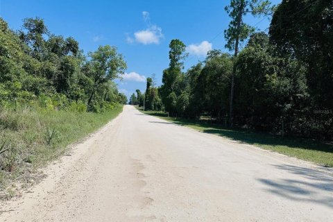 Terreno en venta en Chiefland, Florida № 1898895 - foto 4