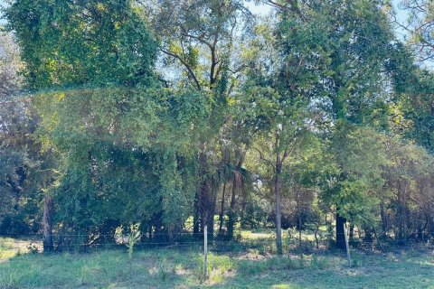 Terreno en venta en Chiefland, Florida № 1898895 - foto 1